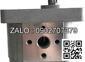 Bơm thủy lực CBW-F310