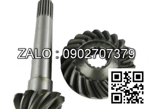 cùi dĩa TAILIP FD/G20-25