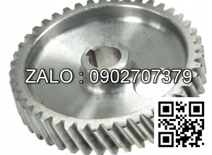 GEAR 24T NM-45 MM302570