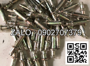 Tăng đưa càng bố thắng