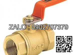 Van bi ren đồng Kizt DN2000