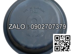 Da cao su secvo thắng rhino 5 tấn