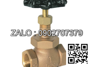 Van cầu ren đồng Kizt DN12