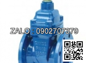 Van cổng ty nổi Arita - Malaysia DN1000