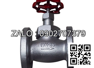 Van cầu ( hơi ) gang mặt bích DN8