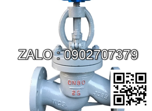 Van cầu ( hơi ) thép mặt bích DN6