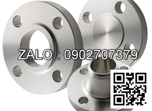 Y lọc mặt bích Inox 304 DN250