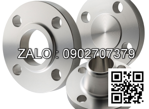 Y lọc mặt bích Inox 304 DN3/4