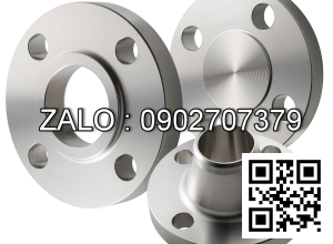 Y lọc mặt bích Inox 304 DN2-1/2