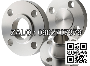 Y lọc mặt bích Inox 304 DN4