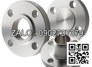 Y lọc mặt bích Inox 316 DN1/4