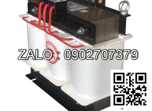 Biến áp cách ly 3 pha 380V/460V-480V 300KVA-Thông Dụng - Nhản hiệu : LITANDA