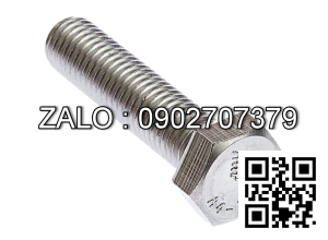 Bolt, SS M10x65-30