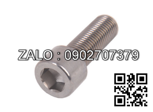 Bolt, Socket head, SS 304 M5x10