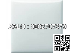 Mặt che trơn Clipsal / Schneider E31X_WE