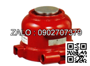 Đội Mini - MMJ-10, MASADA