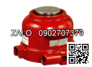 Đội Mini - MMJ-20, MASADA