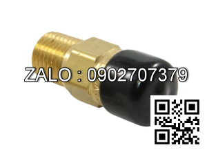 VALVE-RELIEF CENTURY 171-561