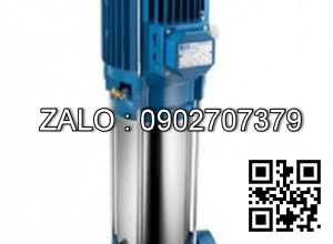 Máy bơm nước trục đứng Pentax Ultra 18SL-250