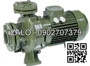 Máy bơm nước Saer IR32-160C