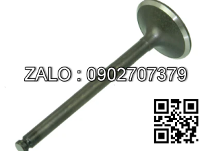 VALVE, INLET/EXHAUST TCM DA220(TCM/FD60,)