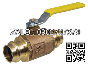 Van bi đồng không ren nối ống 2 ngã DN15