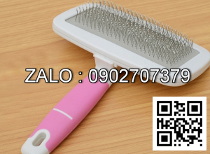 Bàn Chải Lông Chó