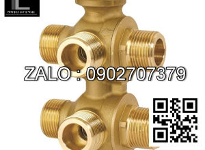 Van bi Inox ren ngoài ỏ giữa 6 ngã DN33