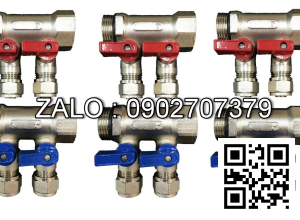 Van bi nhựa PVC ren trong 6 ngã DN30