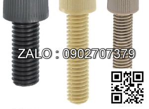 Bulong nhựa đầu lục giác chìm RENY M14 ×2.0× 70 mm