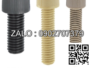 Bulong nhựa đầu lục giác chìm PEEK M5 ×0.8 × 6 mm