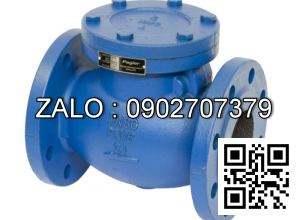 Van 1 chiều mặt bích DN300