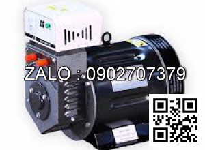 Đầu phát điện Hữu Toàn HTA6.5S