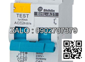 CB Chống giật BHL 2P 63A 6KA