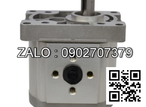 Bơm Thủy Lực CBT-F310-H-R