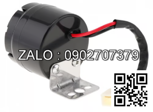 còi de DJB-12B-12V-JG