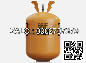 Bình gas lạnh BNF R600A 10.9 kg