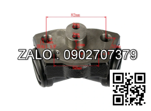 Heo thắng con toyota