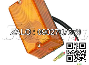 Xi nhan trước NISSAN 12V23W