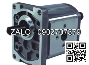 Bơm thủy lực Bánh răng CBT-F306