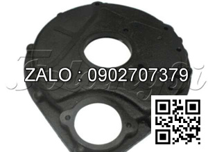 Mặt cọp xe nâng TAILIFT 4JG2PJ(-01/02/03)-2000.7