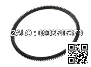 Vòng Curon bánh đà 138 răng, 2030242 HY