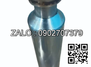 ty bơm xe nâng tay 20x100