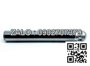 Ty bơm xe nâng tay 20x95