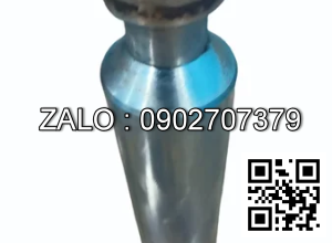 Ty bơm xe nâng tay 20*99