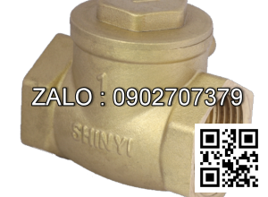 Van 1 chiều lá ren đồng Kizt DN125