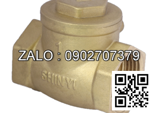 Van 1 chiều lá ren đồng Kizt DN150