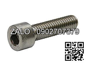 Bolt, Socket head, steel M10x25