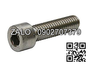Bolt, Socket head, SS M10x30