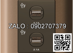 2 cổng sạc USB 2.1A Clipsal / Schneider E8432USB_SZ_G19